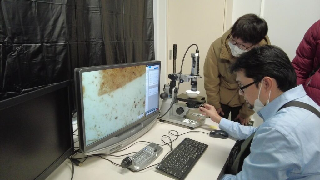 Microscopic abservation of suspended peat sediment