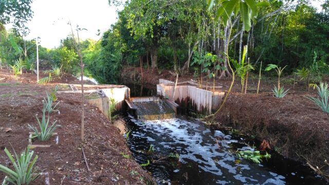 Water management at Pulau Tebing Tinggi RS