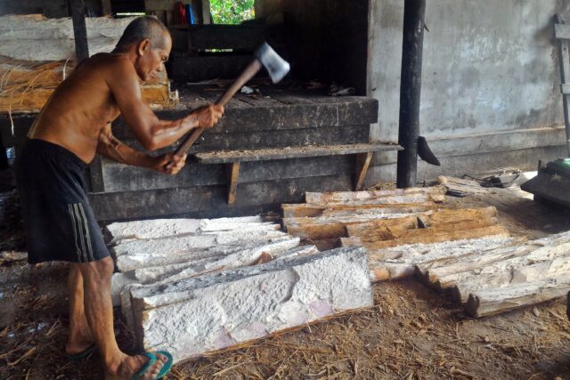 Traditional processing of sago at Pulau Tebing Tinggi RS