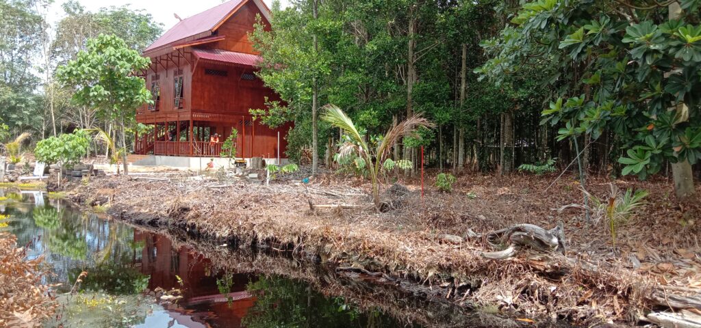 Research Station for Tropical Peatland Restoration. Bangunan yang didanai oleh UNOPS (United Nation for Project Services) yang difungsikan untuk tempat sharing knowledge tropical peatland restoration. Bagunan ini dibuat pada lahan gambut yang telah berhasil direstorasi selama kurang lebih 10 tahun setelah mengalami kebakaran hebat.