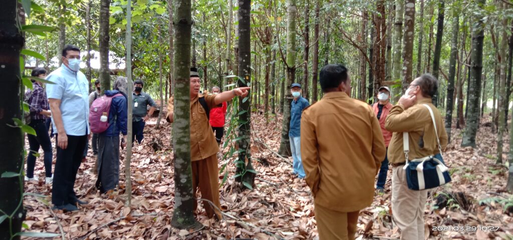 Peatland Restoration Agency (BRG) Republic of Indonesia and PT. Sinar Mas Forestry visited Tanjung Leban RS, 15 Jan 2022