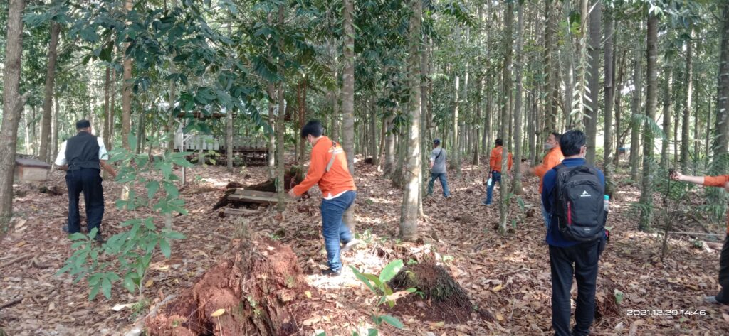 Knowledge sharing with PT SMART (Sinar Mas) about tropical peatland management