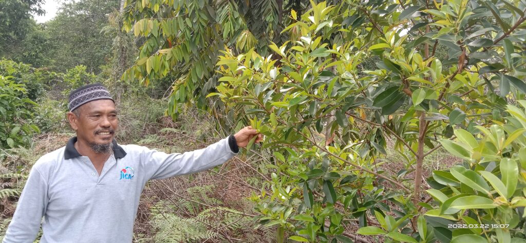 Forest at Tanjung Leban RS