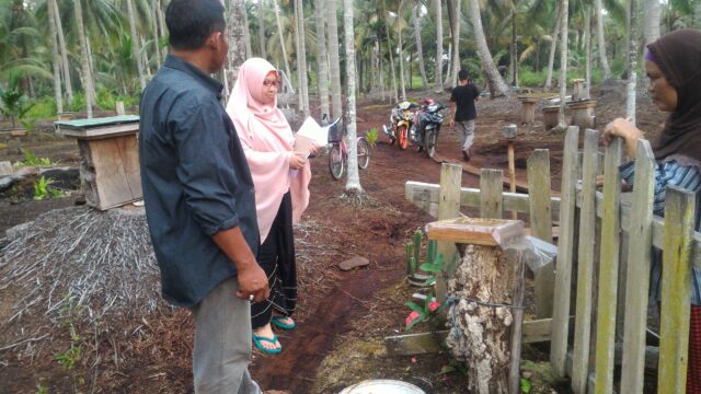 Cultivation of kelulut honey bee in peatland