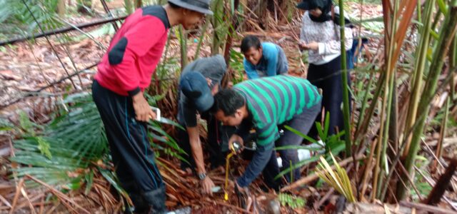 GWL monitoring at Pulau Tebing Tinggi RS