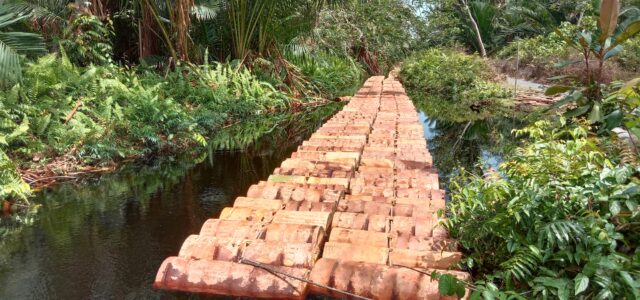 Local community use canal for sago transportation