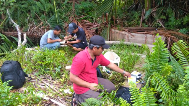 GWL monitoring at Pulau Tebing Tinggi RS