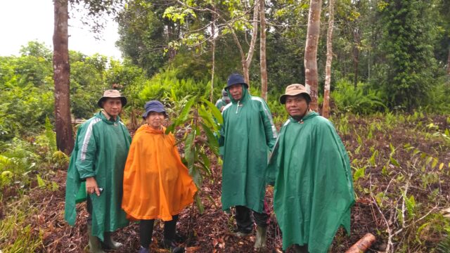 Site visit researchers from Hokkaido Univ, UNDP, International Peat Society (IPS), Japan Peatland Society (JPS), BRG (Peatland Restoration Agency)